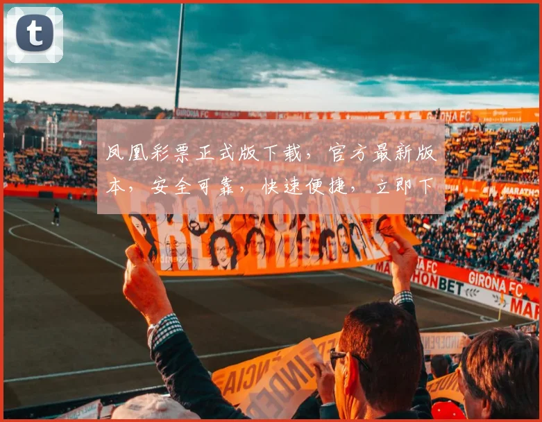 凤凰彩票正式版下载，官方最新版本，安全可靠，快速便捷，立即下载，体验非凡